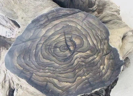 Αγορά OEM Ciricote/Ziricote Wood Veneer για ξυλουργική κατασκευή online manufacture