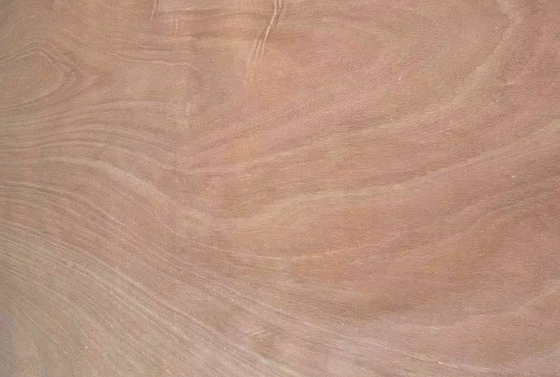 0.1-0.5mm Okoume Wood Veneer Rotary Peeled Veneer 1270mm*2500mm Περπατητής φινέρισμα ξύλου